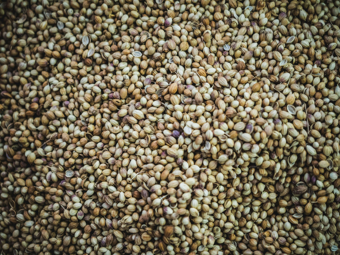 The highly palatable goodness of hemp seeds