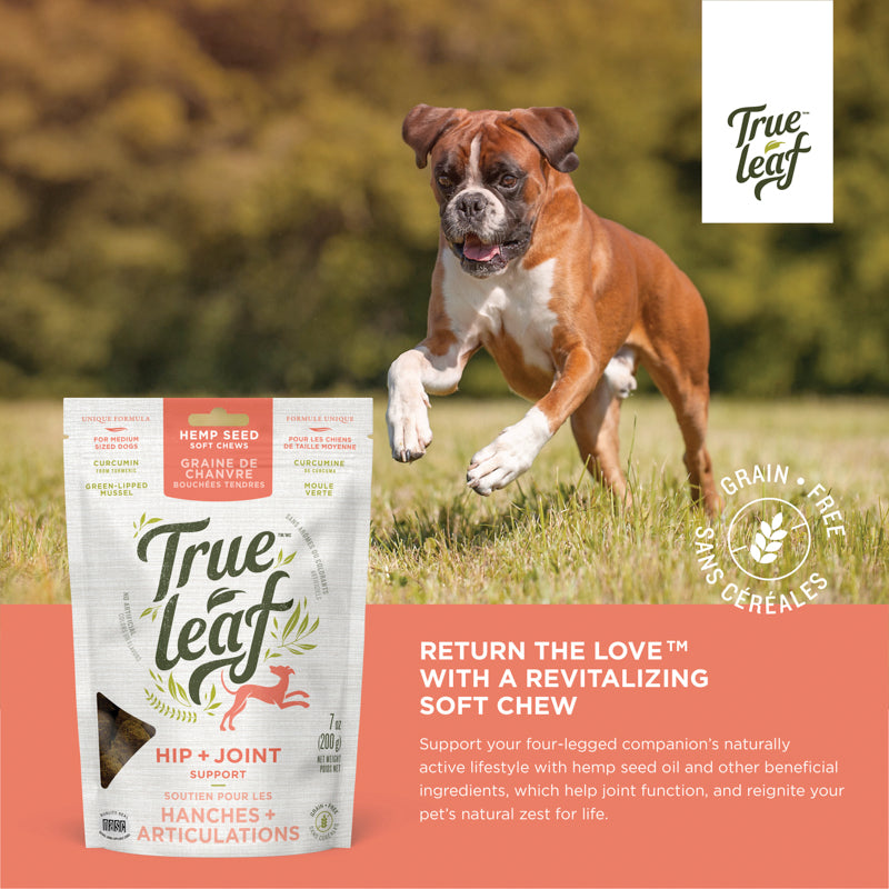 Dog chew info panel: "Return the Love with a revitalizing soft chew"
