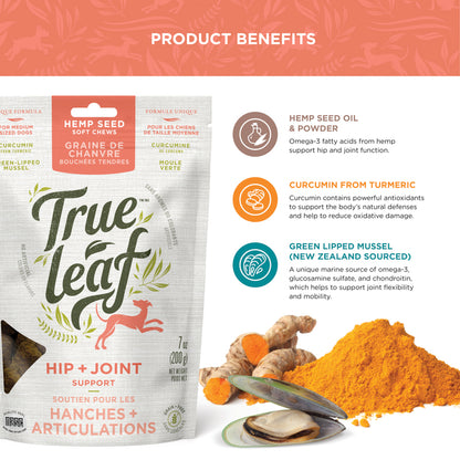 Ingredient information for hemp seed oil and powder, curcumin from turmeric, and green lipped mussel