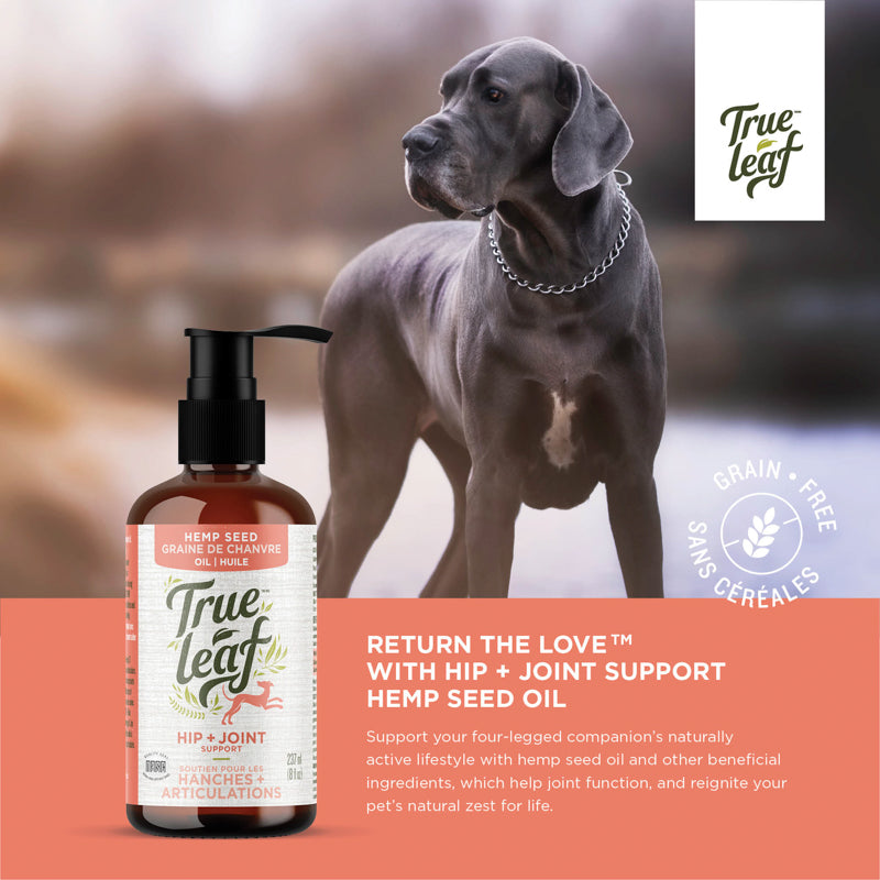Support your dog's active lifestyle with hemp seed oil and other beneficial ingredients that support joint function