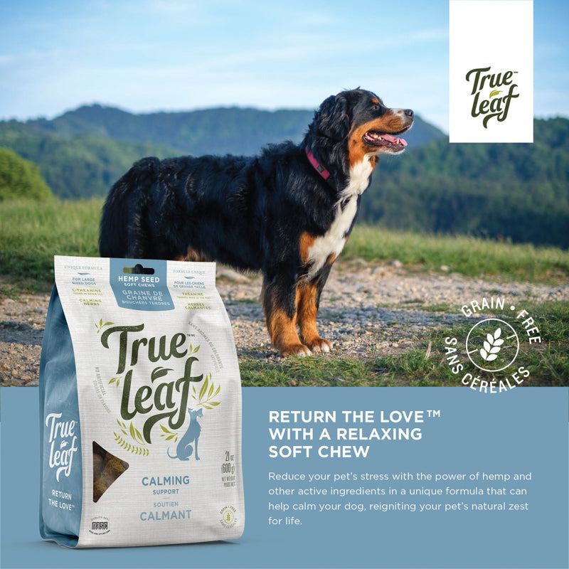 600g bag of dog calming chews with text: "Reduce your pet's stress with the power of hemp and other active ingredients"