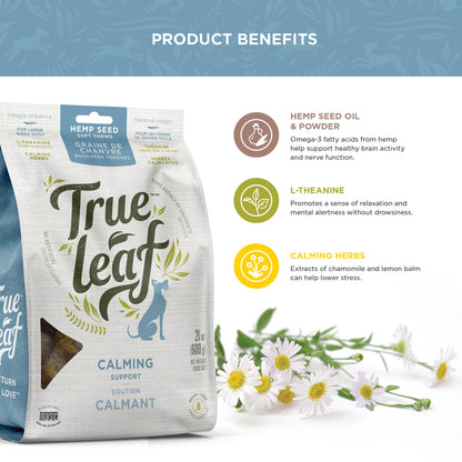 Ingredient facts for hemp seed oil and powder, l-theanine, and calming herbs like lemon balm and chamomile
