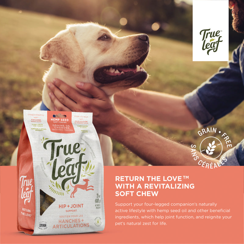 Support your dog's active lifestyle with hemp seed oil and other beneficial ingredients that help joint function