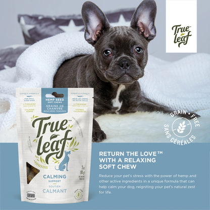 Calming dog chew info panel. Reduce your pet's stress with the power of hemp and other active ingredients.