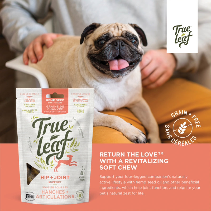 Product info for Trueleaf dog supplement chews that support joint function with ingredients like turmeric and green lipped mussel
