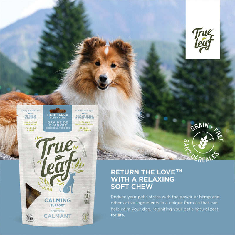 Hemp seed soft chew info panel: "Reduce your pet's stress with the power of hemp and other active ingredients"