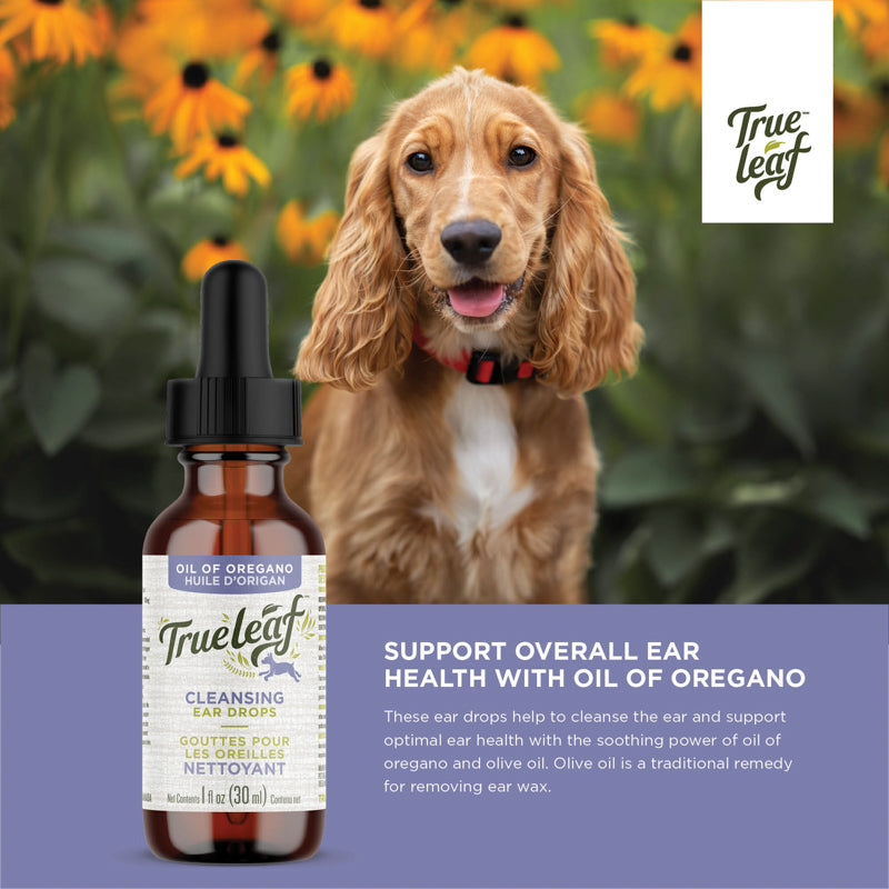 An advertisement image featuring a happy dog with Trueleaf oil of oregano ear drops, intended for cleaning and supporting pets' overall ear health.