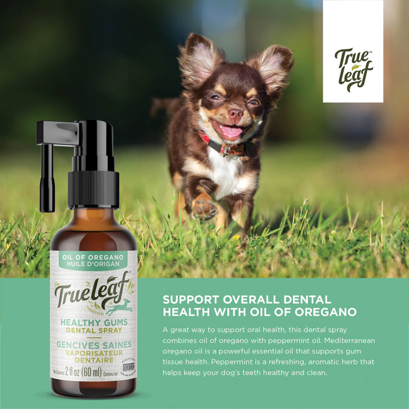 A great way to support pet oral health, this dental spray combines oil of oregano with peppermint oil