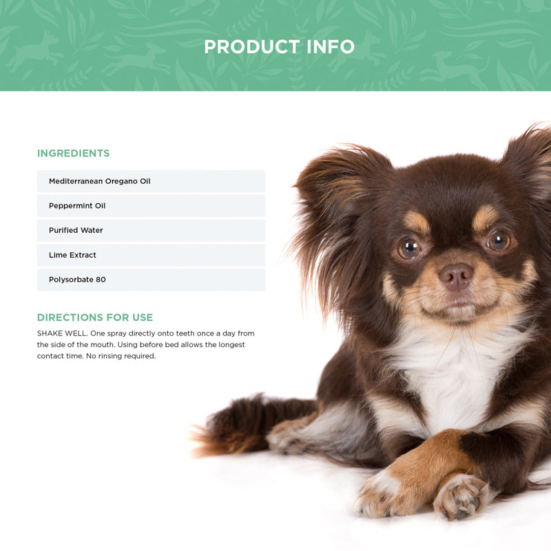 Dog dental spray ingredients list: oregano oil, peppermint oil, purified water, lime extract