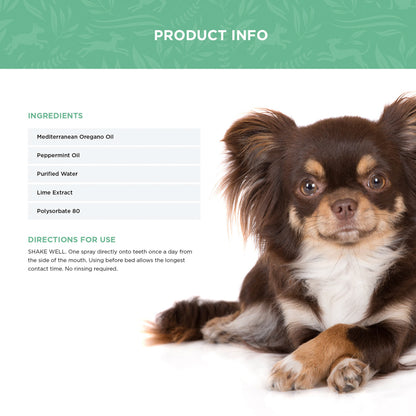 Dog dental spray ingredients list: oregano oil, peppermint oil, purified water, lime extract