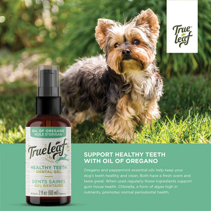 Oregano and peppermint essential oils in Trueleaf dental gel help keep your dog's teeth healthy and clean.