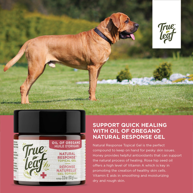 Support skin healing in pets with ingredients like manuka honey, rosehip oil, vitamin A, and vitamin E