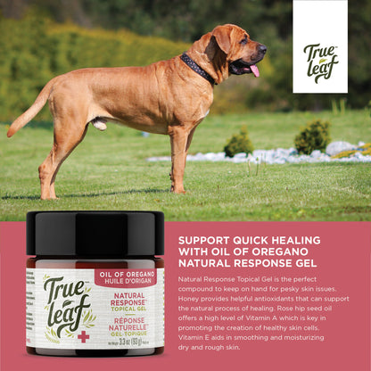 Support skin healing in pets with ingredients like manuka honey, rosehip oil, vitamin A, and vitamin E