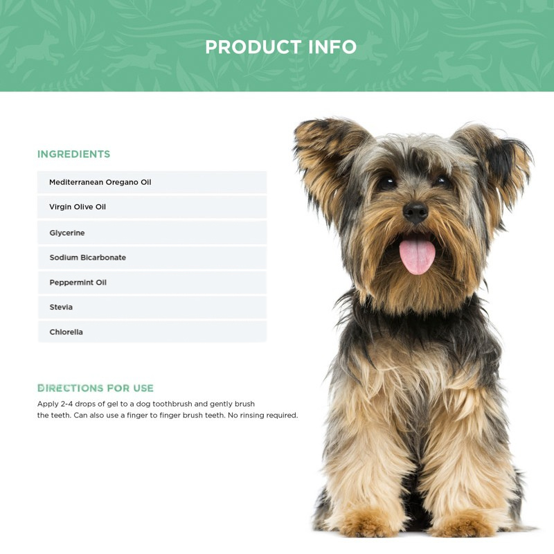Full dental gel ingredient list and directions for use, next to a healthy dog.
