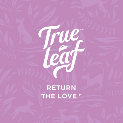 True Leaf logo on a purple background with leaf pattern