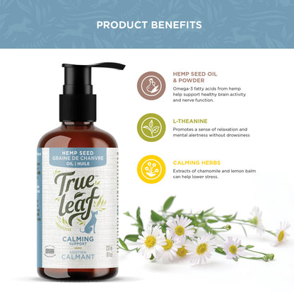 Ingredient facts for hemp seed oil and powder, l-theanine, and calming herbs like chamomile and lemon balm