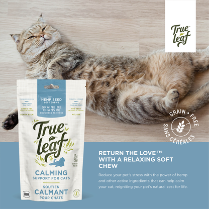 Information for cat chews with text: "Reduce your pet's stress with the power of hemp and other active ingredients like l-theanine and lemon balm"